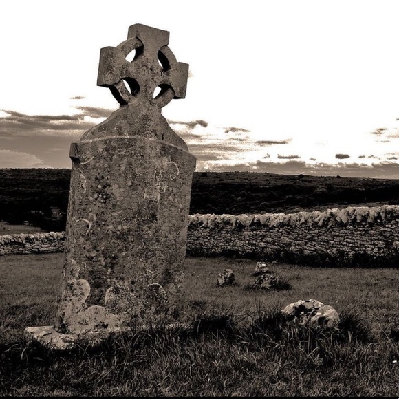 Meet your Posher, Seamus - Picture 2 of 7